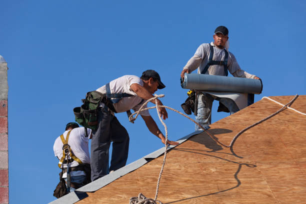 Best Commercial Roof Installation  in La Puebla, NM
