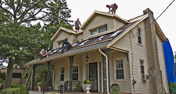 Best Roof Repair Services  in La Puebla, NM